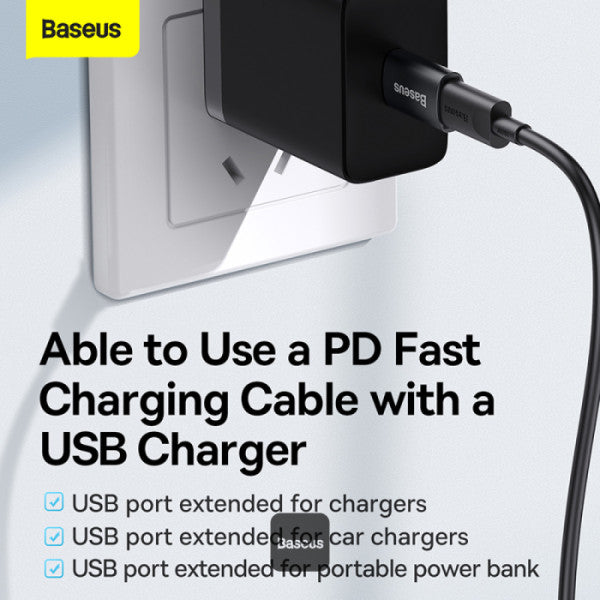 Adaptateur Mini OTG Baseus Ingenuity Series USB 3.1 vers Type-C ZJJQ000101